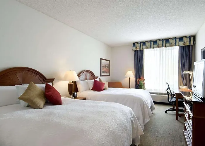 Hotel Hilton Garden Airport 3*