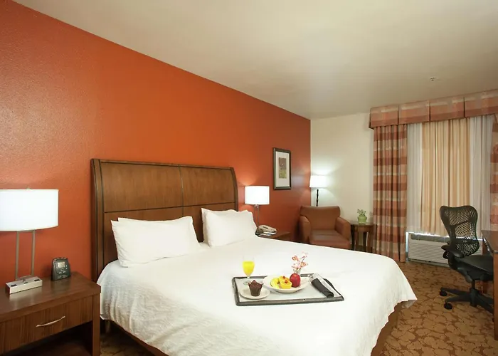 Hotel Hilton Garden Airport 3*