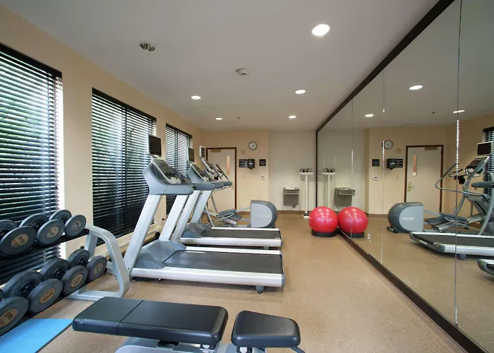 Hotel Hilton Garden Airport 3*