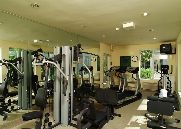 Hotel Hilton Garden Airport 3*