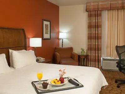 Hilton Garden Airport Hotel